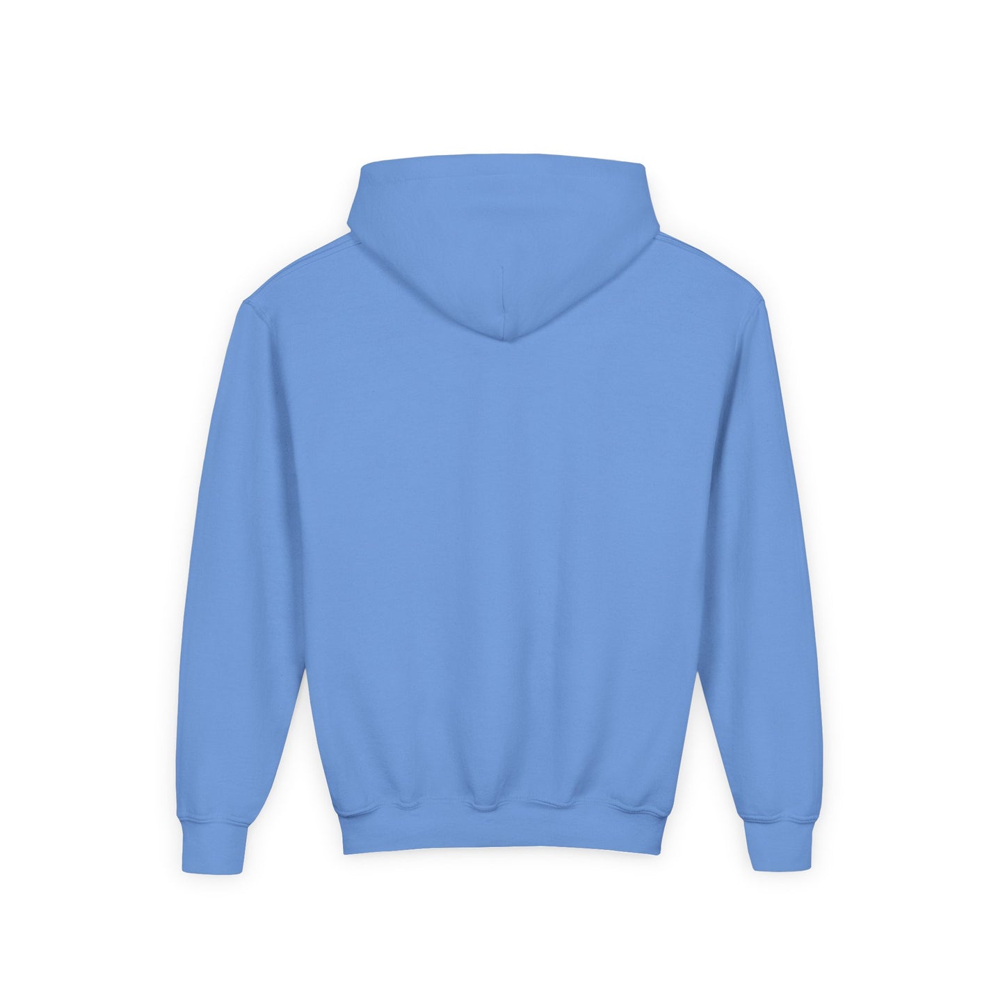 Veto the Cheeto Youth Hoodie – Tiny but Defiant