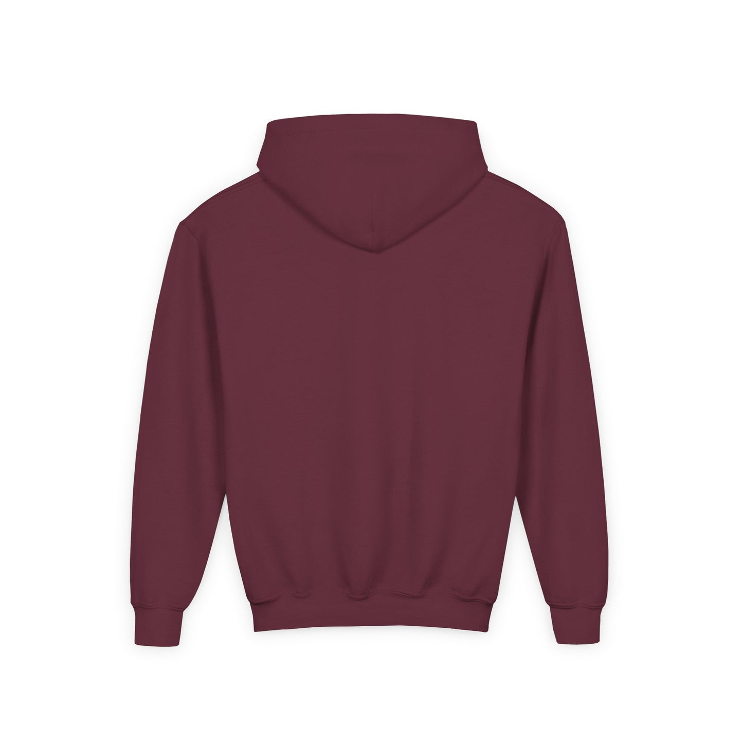 Defund Politicians Youth Sweater – Future of Accountability