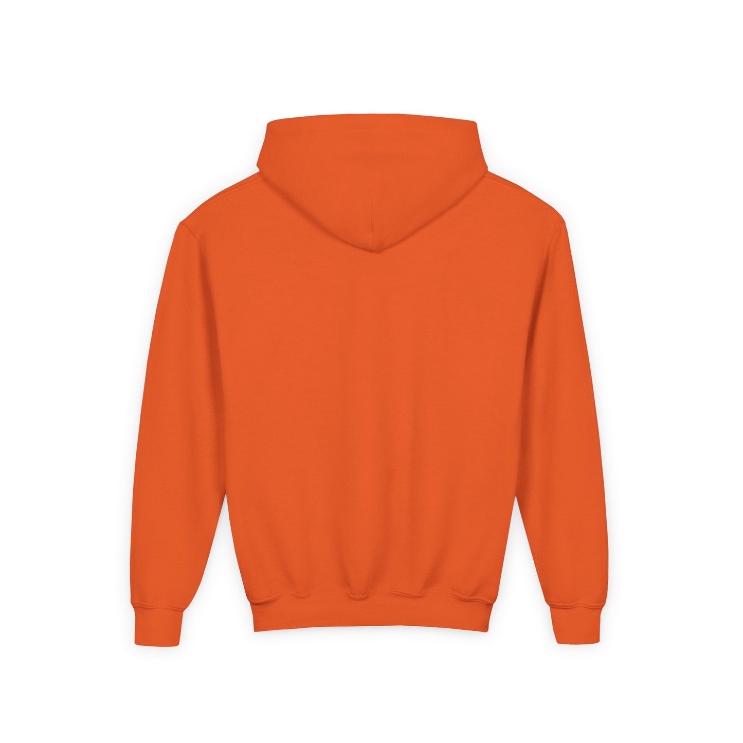 Veto the Cheeto Youth Hoodie – Tiny but Defiant